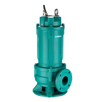 WQ(D)-L1 Submersible Sewage Pump