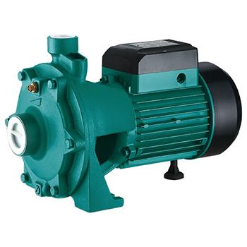 2SGP(m) Centrifugal Pump