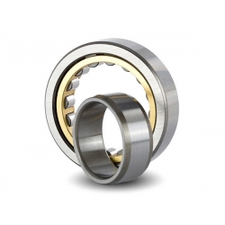 Cylindrical Roller Bearings