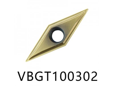 VBGT insert