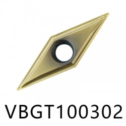 VBGT insert