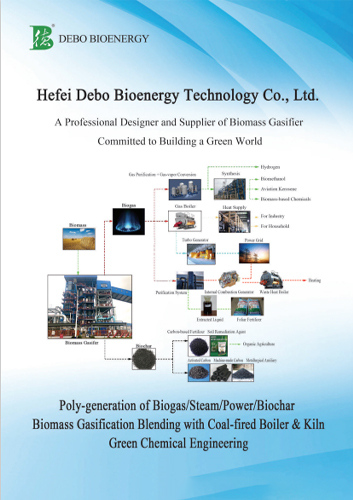 Hefei Debo Bioenergy Technology catalog