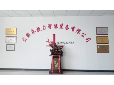  Anhui Younglift Intelligent Equipment Co., Ltd