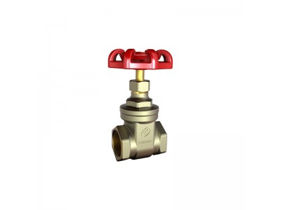 Bulk S5115 BRASS GATE VALVE