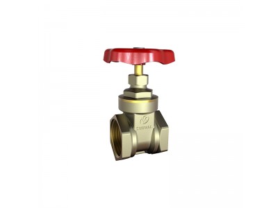 Bulk S5101 BRASS GATE VALVE