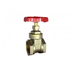 Bulk S5101 BRASS GATE VALVE