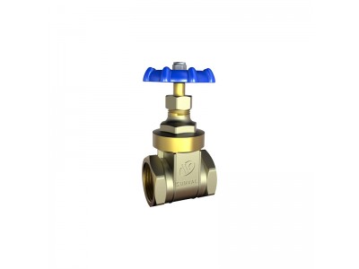 Bulk S5110 BRASS GATE VALVE