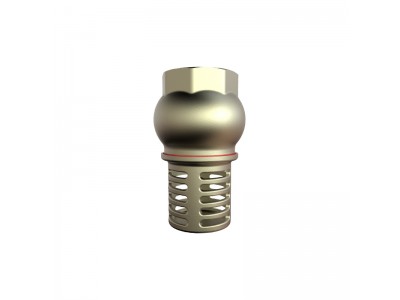 Bulk S4106 BRASS FOOT VALVE