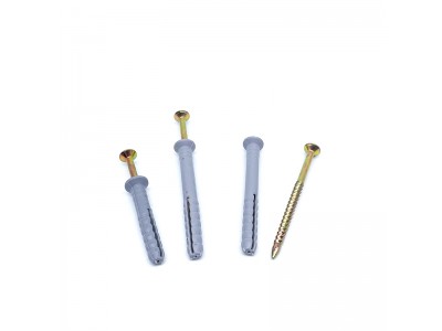 Wholesale Hammer Fixing Pozi Head Screw with Nylon Plug