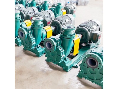 Plastic liner selfpriming pump