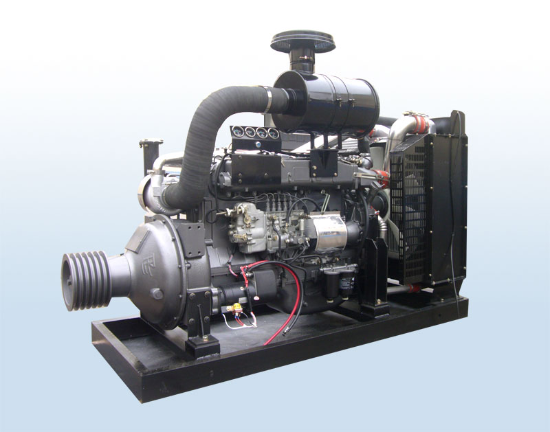 Small Diesel Engine Fixed power diesel engine