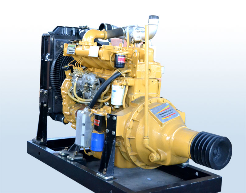 Small Diesel Engine Fixed power diesel engine